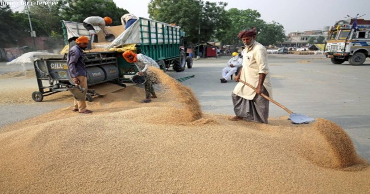 Weeks after announcing ban, India exported wheat worth USD 473 million in April